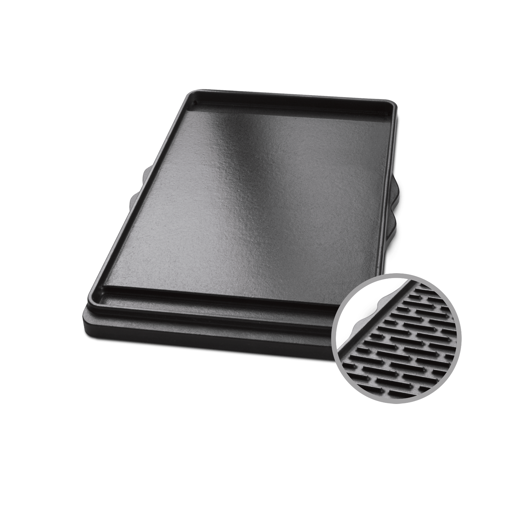 Kamskjell På Engelsk