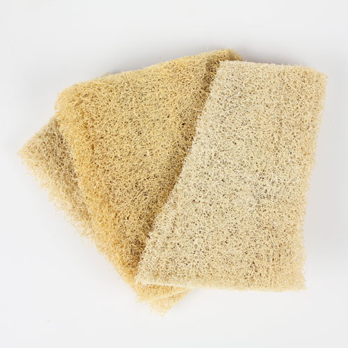 Loofah Sponge