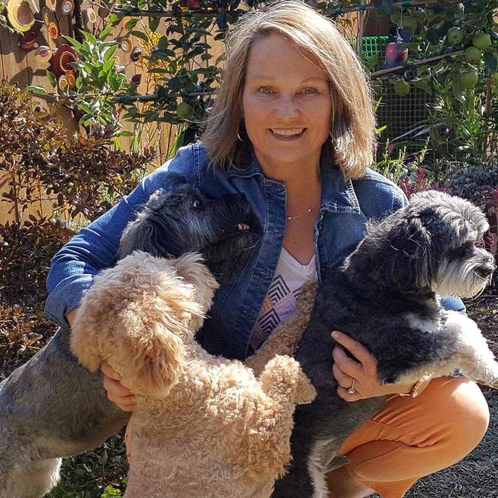 The 10 Best Dog Trainers in Camarillo, CA (with Free Estimates)