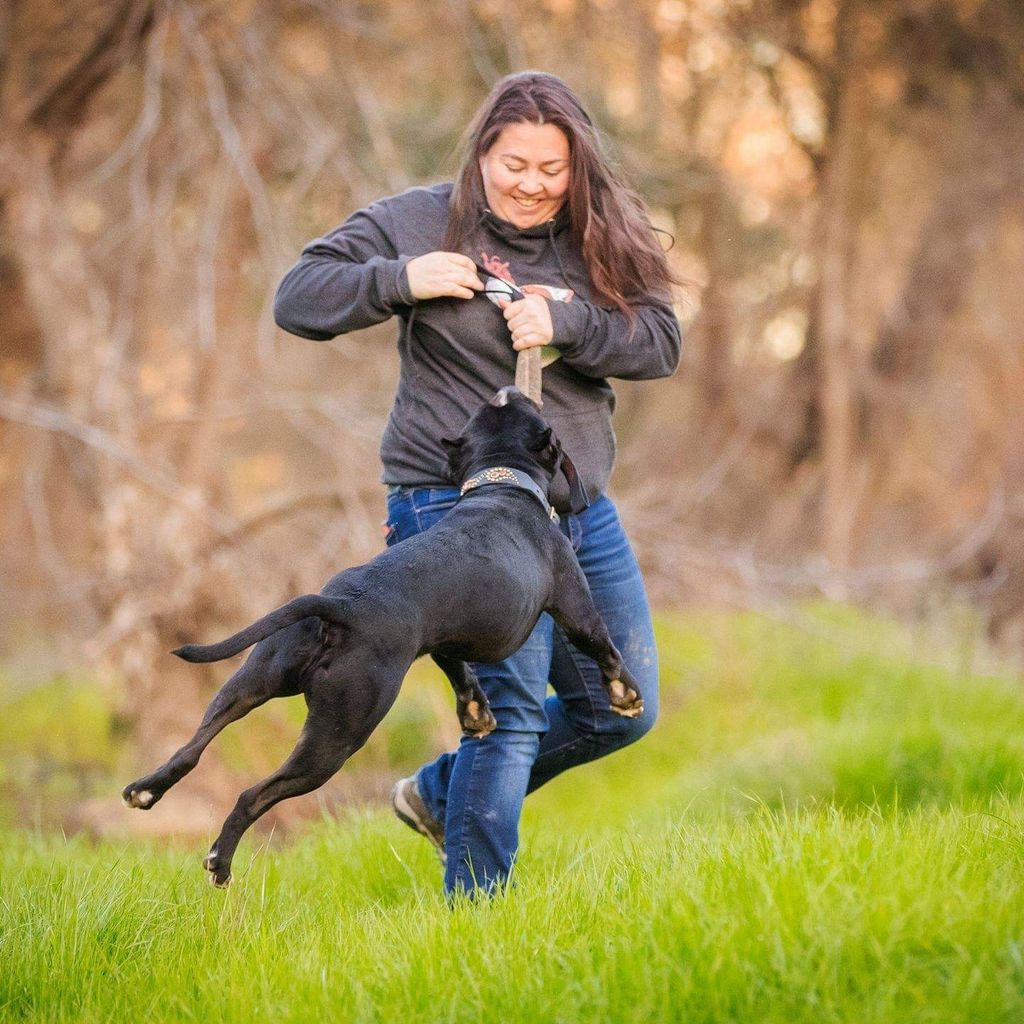 The 10 Best Dog Trainers in Vancouver, WA (with Free Estimates)