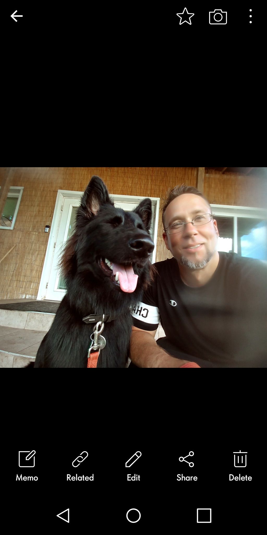 Silver Dog Training Fort Lauderdale, FL