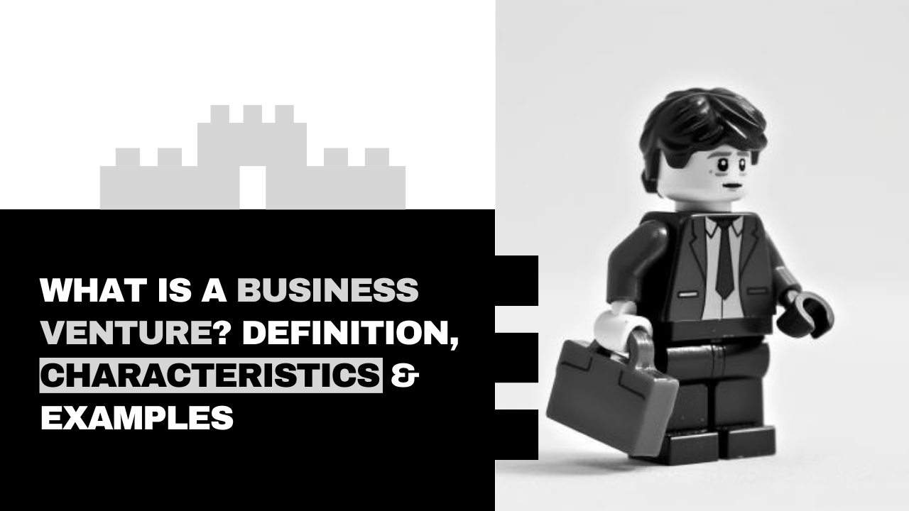 Business Venture Definition, Characteristics & Examples