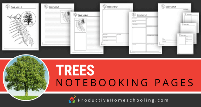 Homeschool: Notebooking Pages Homeschool.