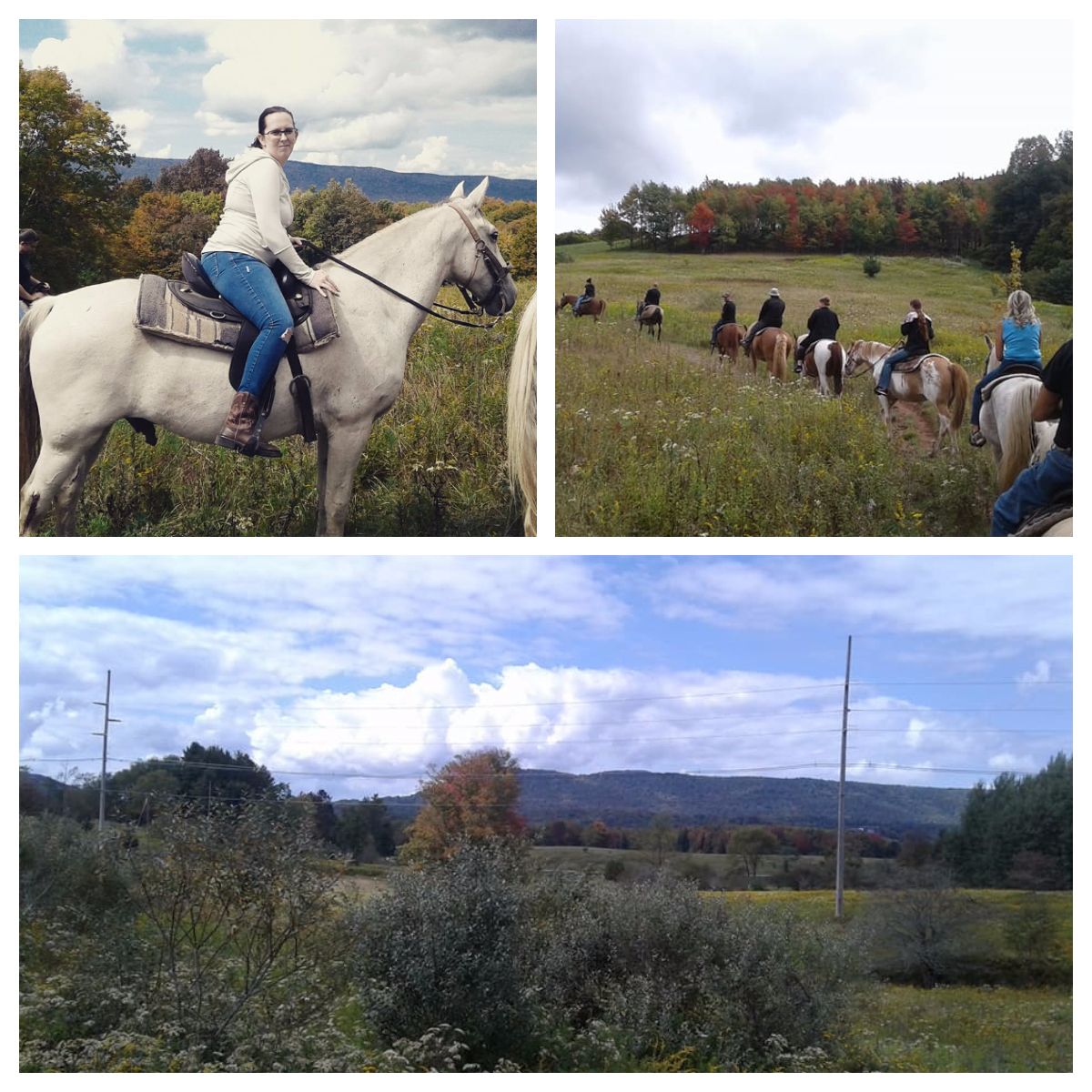 Mountain Trail Rides Canaan Valley, West Virginia Product Review Cafe