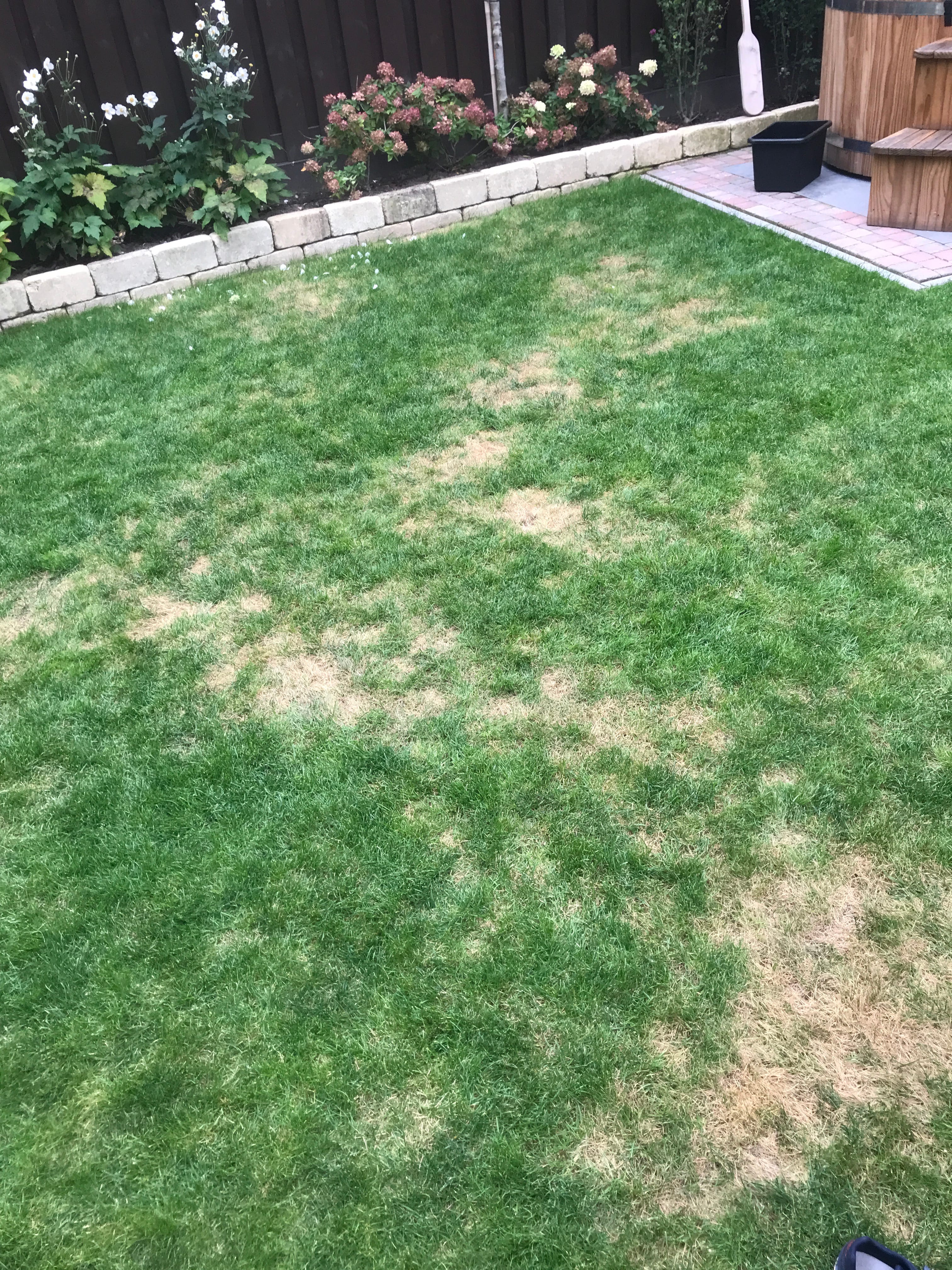 Triferto N23 Stikstof Meststof 20Kg Gazonmest - Tuindirect