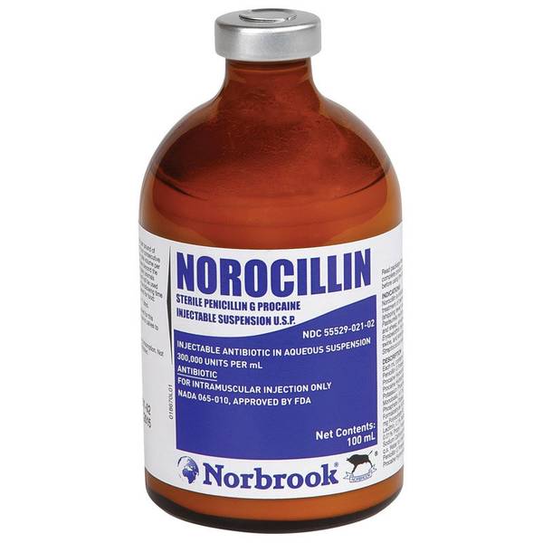 Norbrook G Procaine Injectable Penicillin, 100 ml 00008D Blain's
