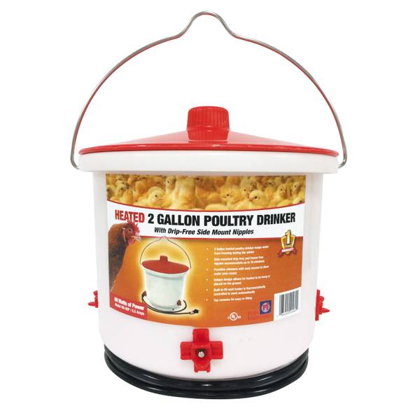 Farm Innovators Heated 2 Gallon Poultry Drinker HB60P Blain's Farm