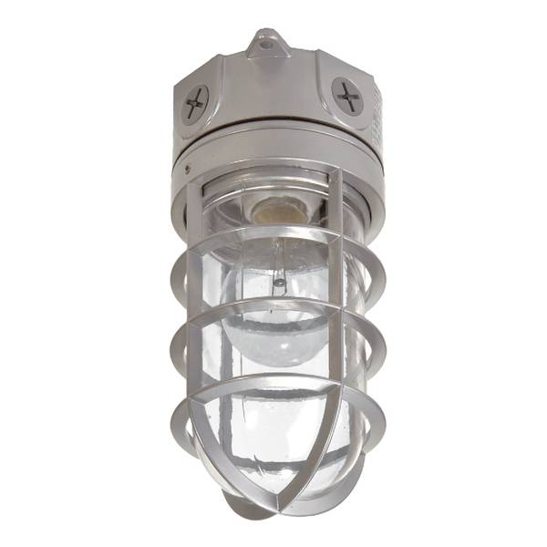 Halo 100Watt Outdoor Vapor Tight Light With Cage VT100G Blain's
