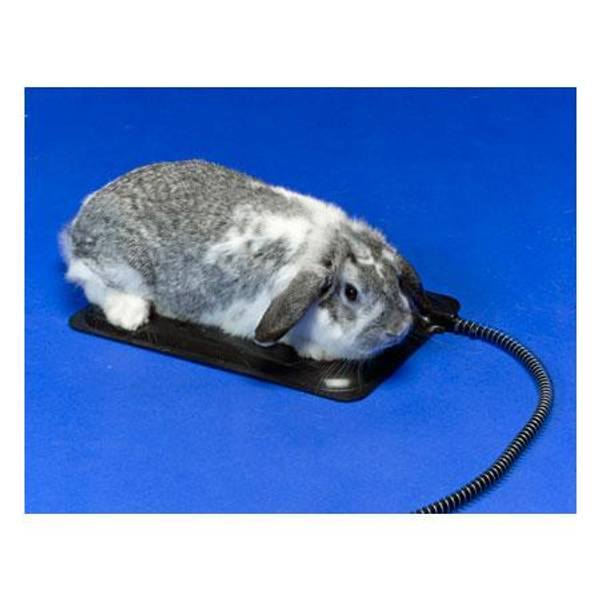 Allied Precision Heated Pet Mat 98PXS Blain's Farm & Fleet