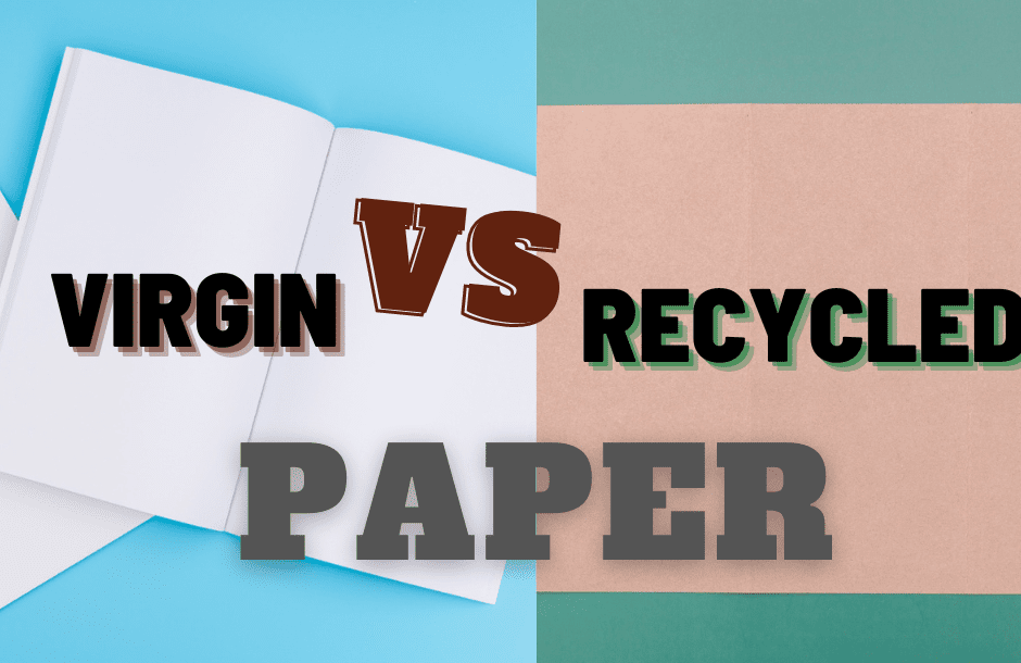 Virgin Paper VS Recycled Paper, Which is Better?
