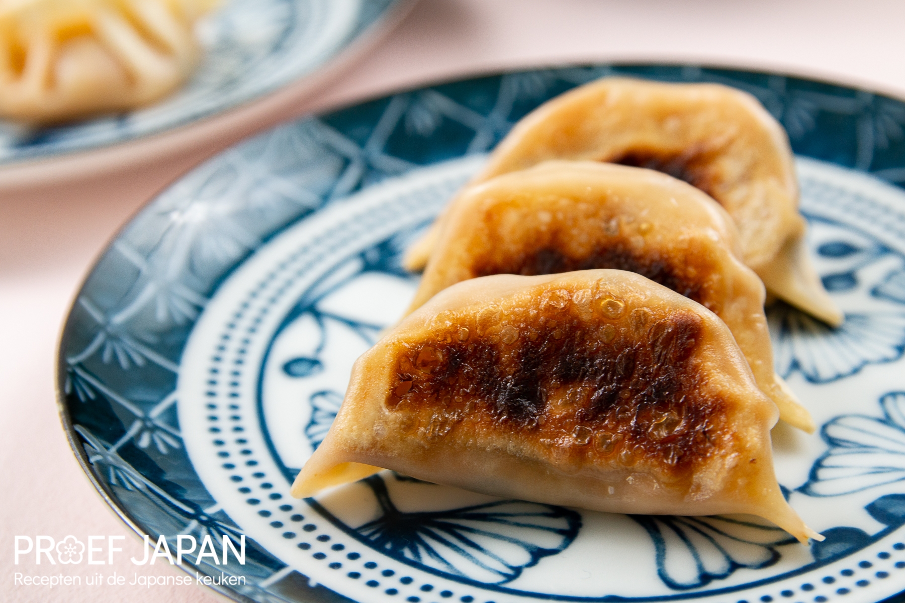 'Awardwinning' vegetarische gyoza met shiitake en kimchi Proef Japan