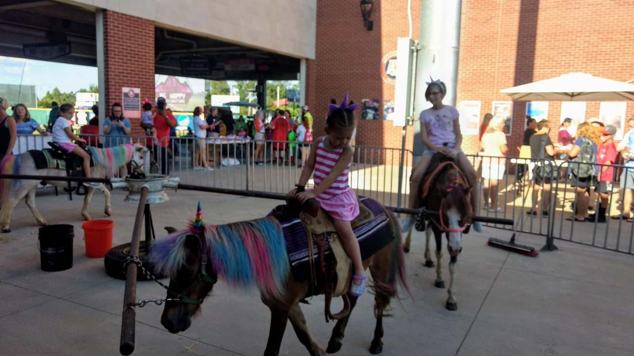 Pony Rides & Pony Carousel Pro Entertainment Nashville