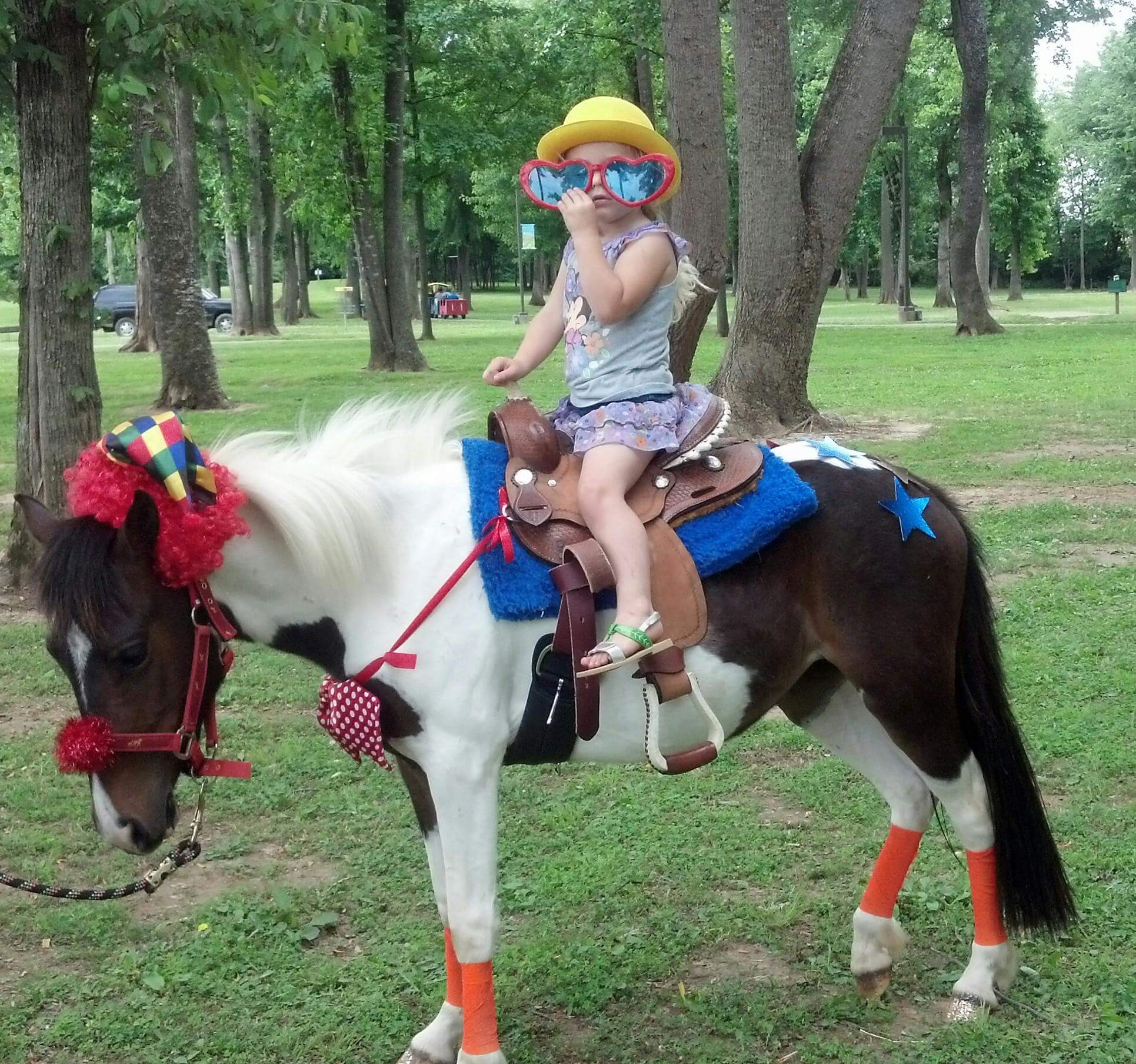 Pony Rides & Pony Carousel Pro Entertainment Nashville