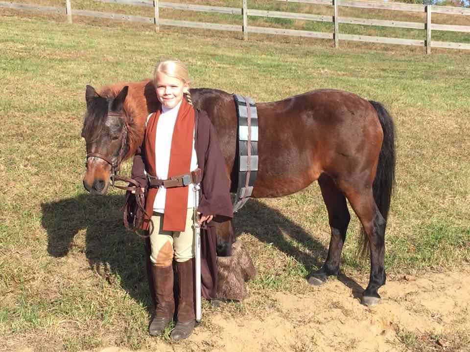 How to Dress up Your Horse For Halloween Pro Equine Grooms