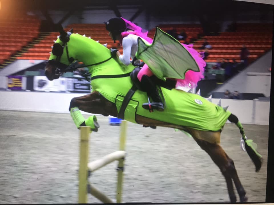 Costumes for Horses Homemade Halloween Outfits