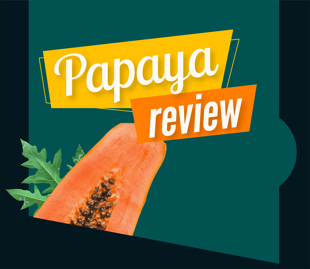 Papaya functions and benefits Papaya Review Pro Export Papaya
