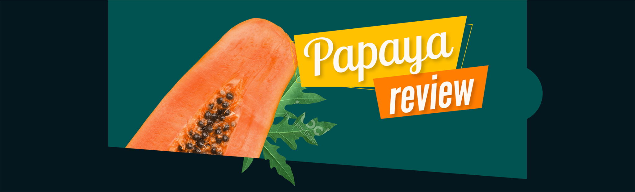 Papaya functions and benefits Papaya Review Pro Export Papaya