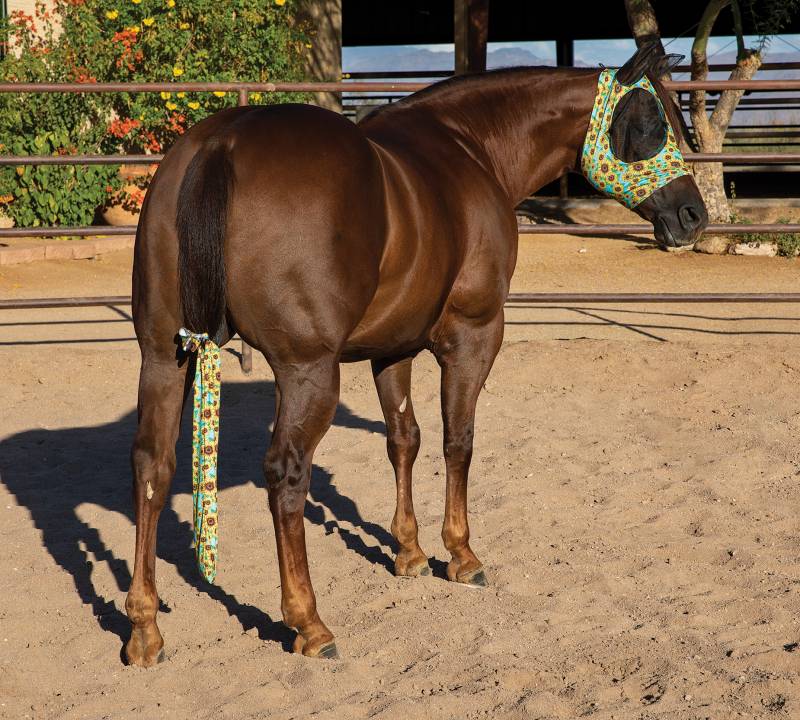 Professional's Choice Tail Bag
