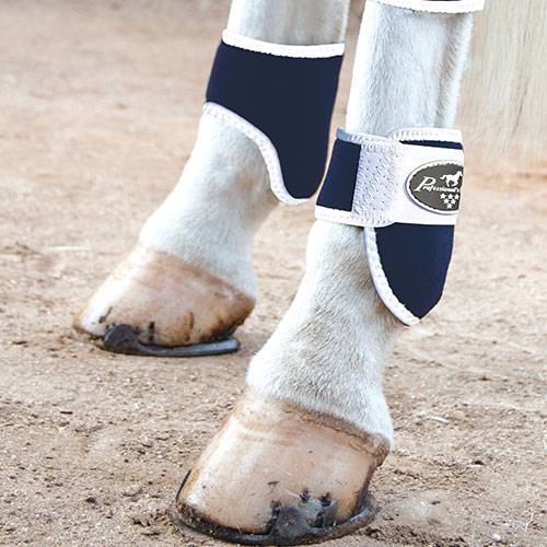 Professionals Choice Ankle Boots