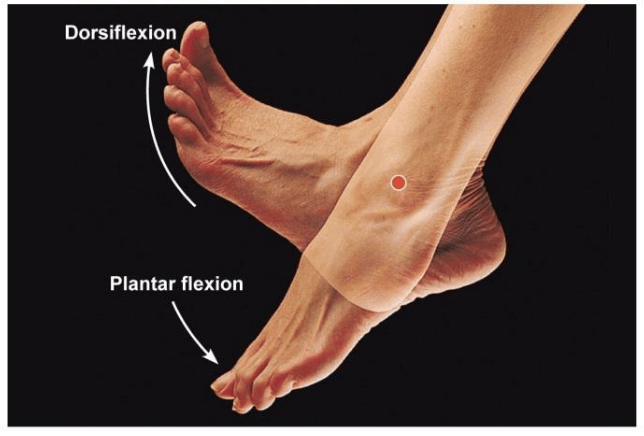 Ankle range of motion and injuries correct footwear fitting
