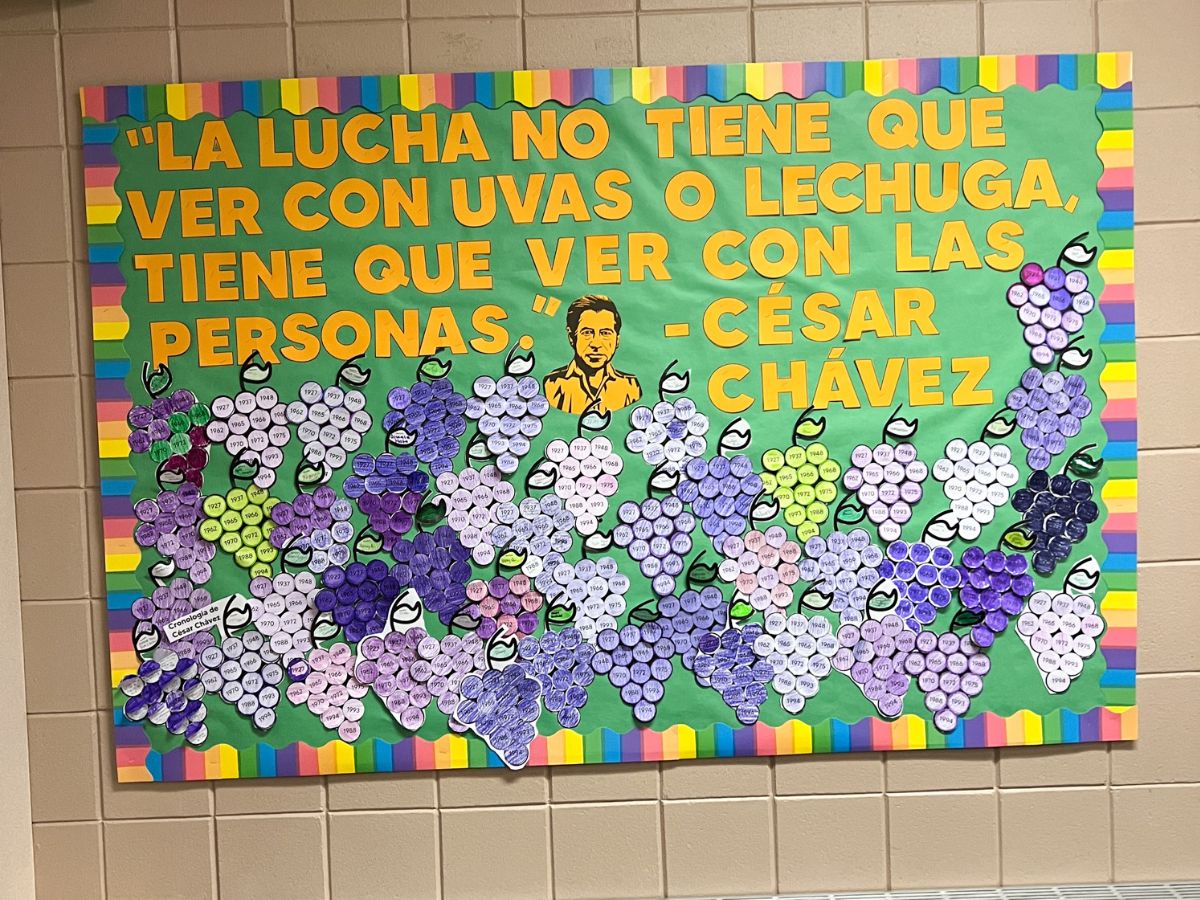 Bulletin Board Ideas for Heritage Spanish Class Profe Nygaard