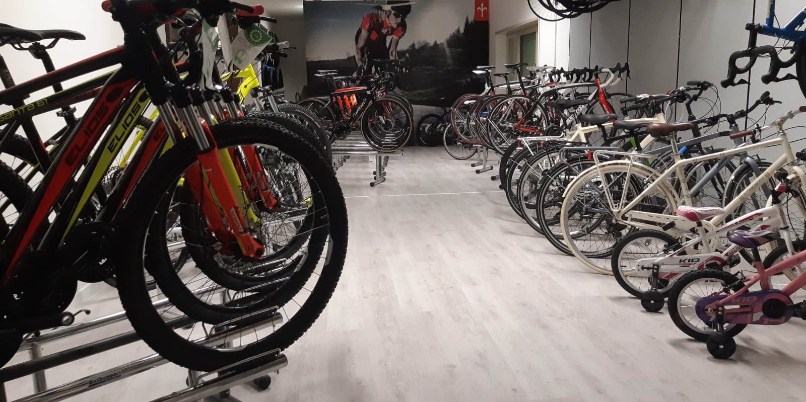 Chi Siamo – PROFESSIONAL BIKE