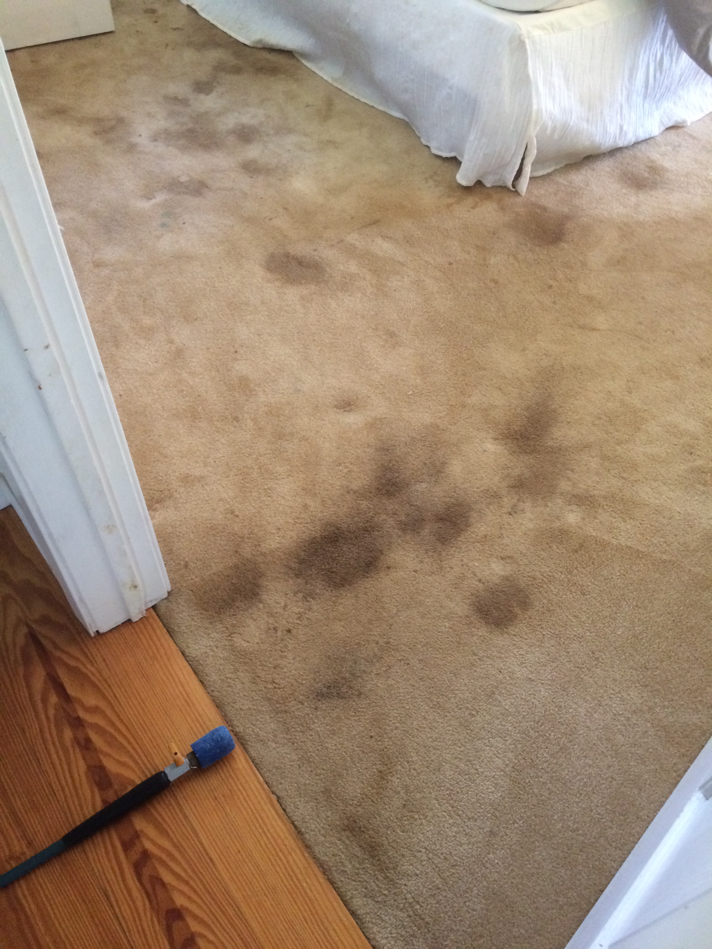 Gallery Professional Keepers