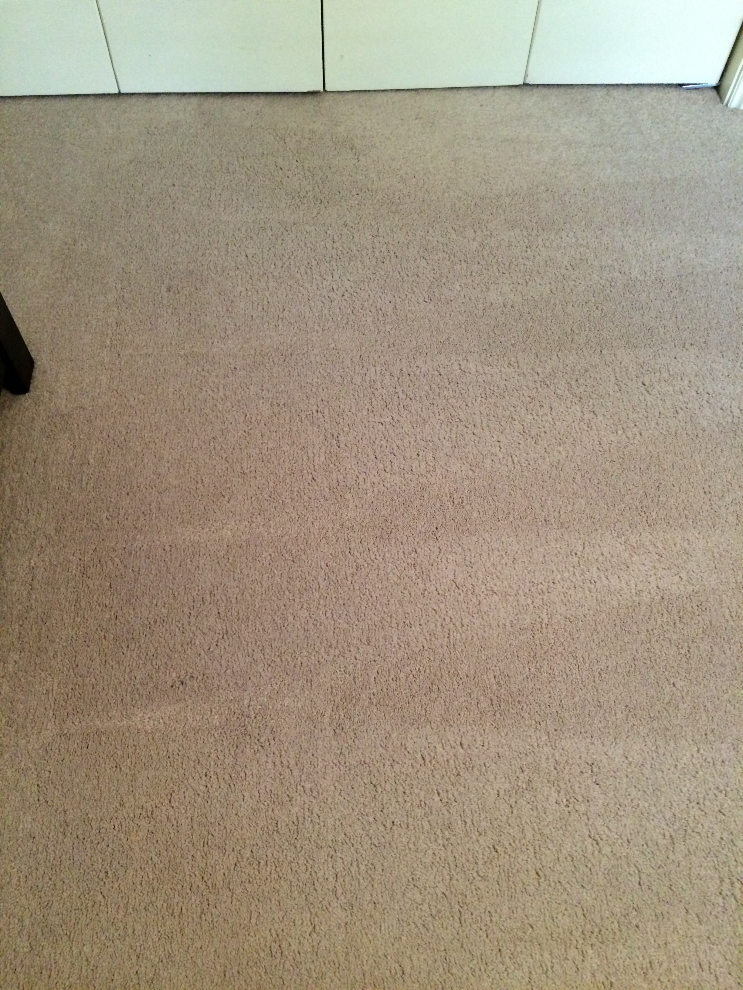 Gallery Professional Keepers