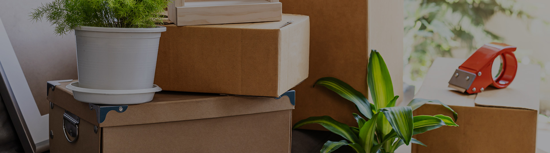 Packing Services Professional Movers Canada