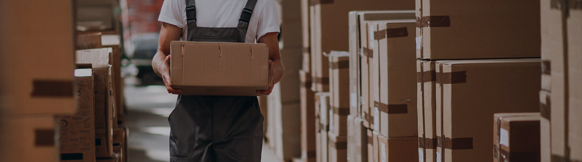 Storage Services Professional Movers Canada