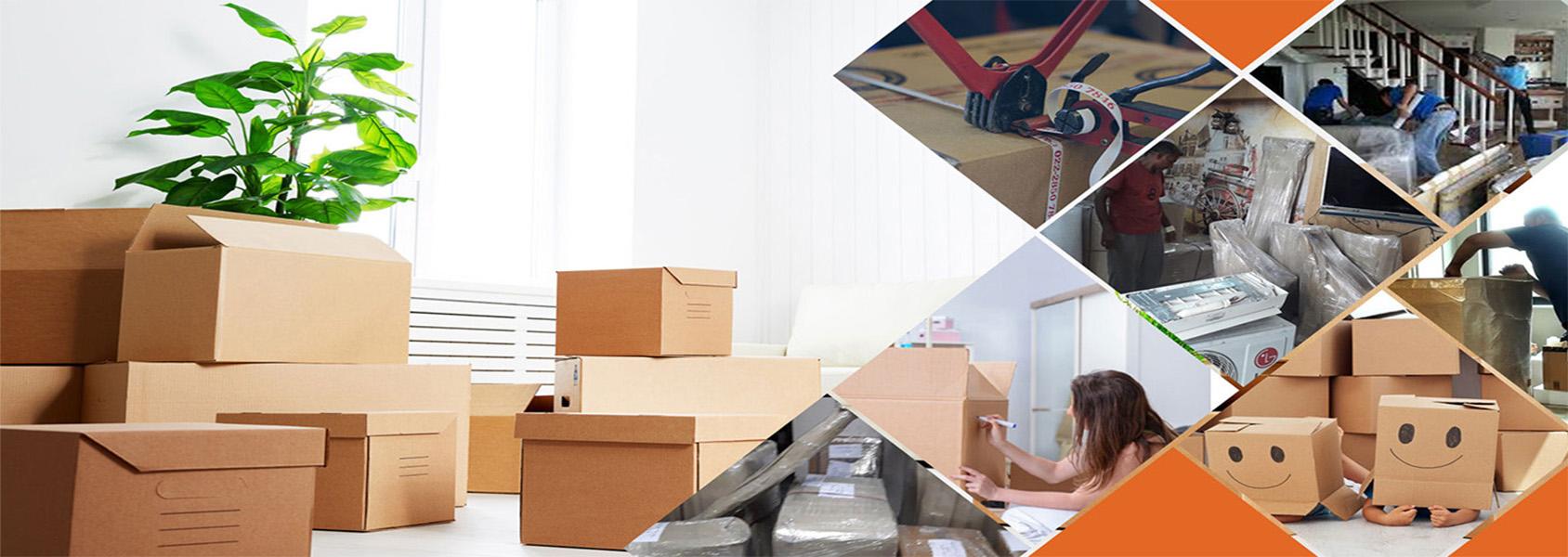 professional Safe Packers and Movers