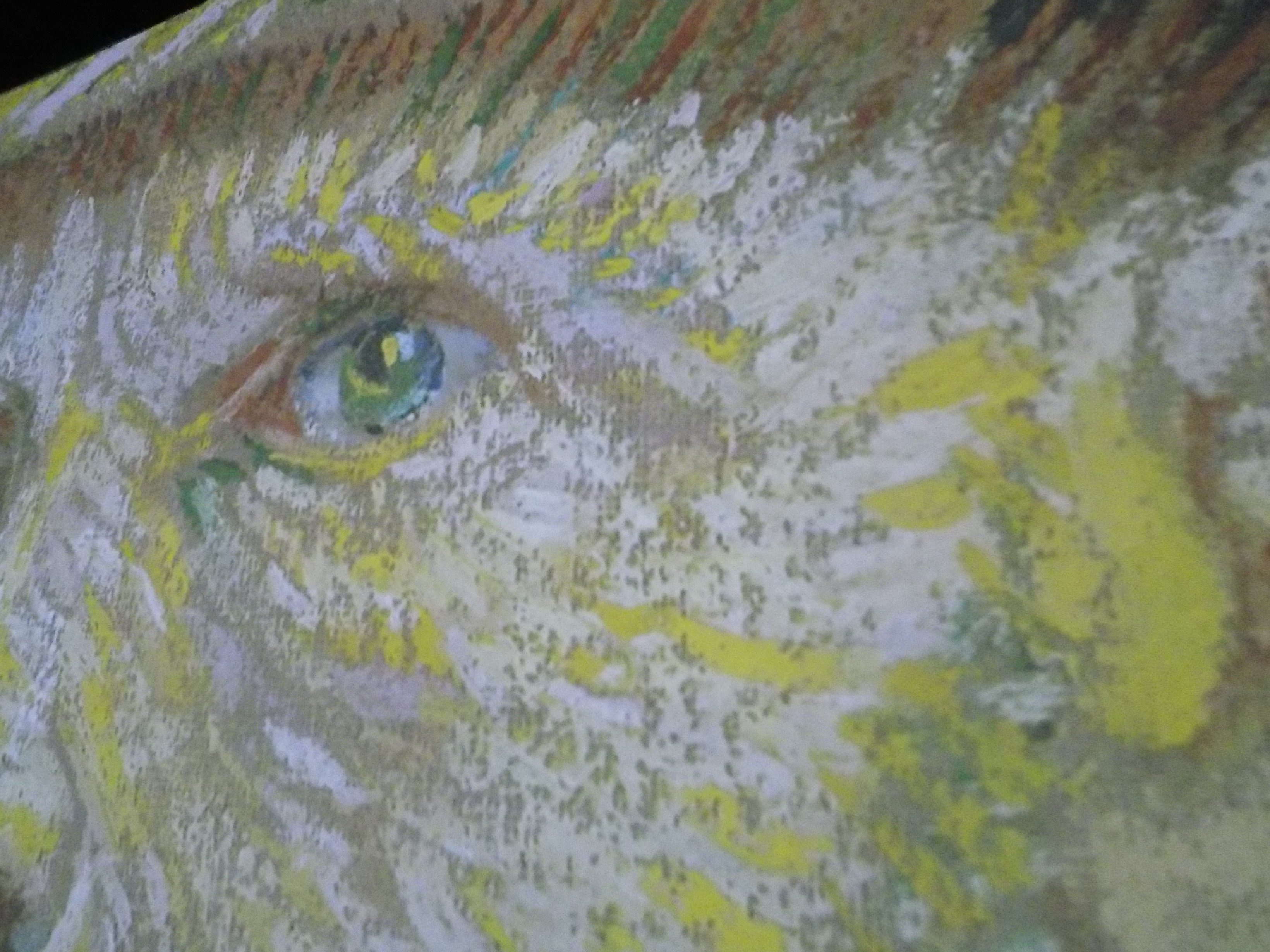 Van Gogh Is Visiting Birmingham Professional Southerner