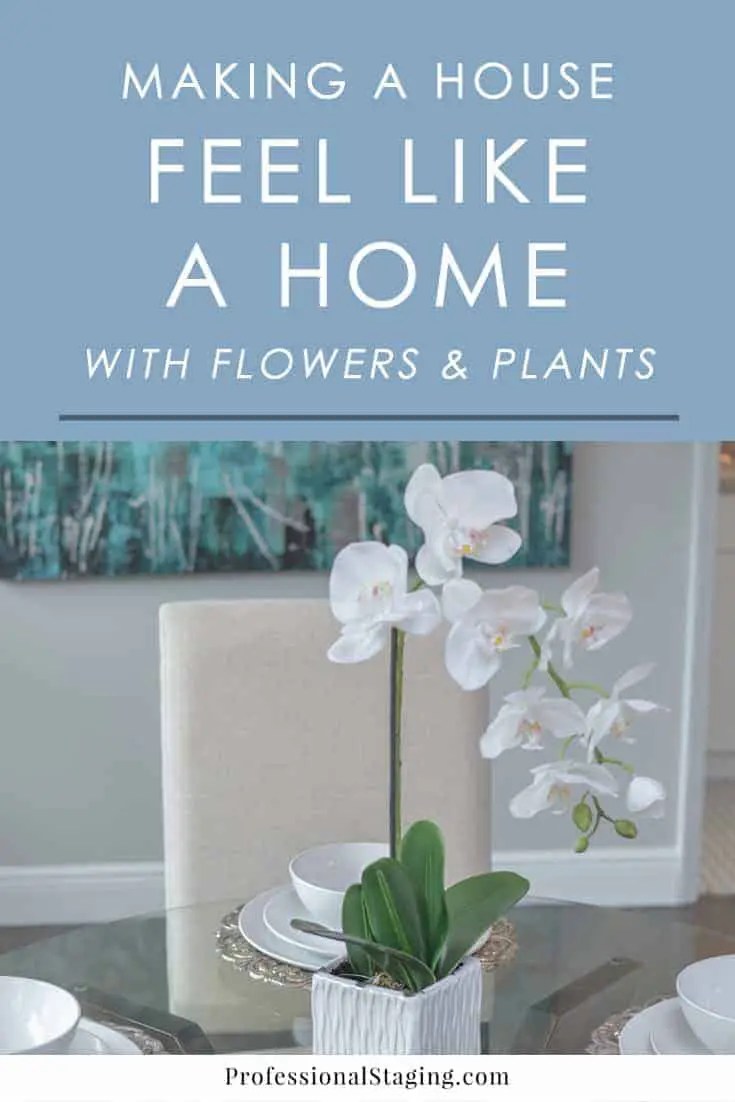 Making a House Feel Like a Home with Plants MHM Professional Staging