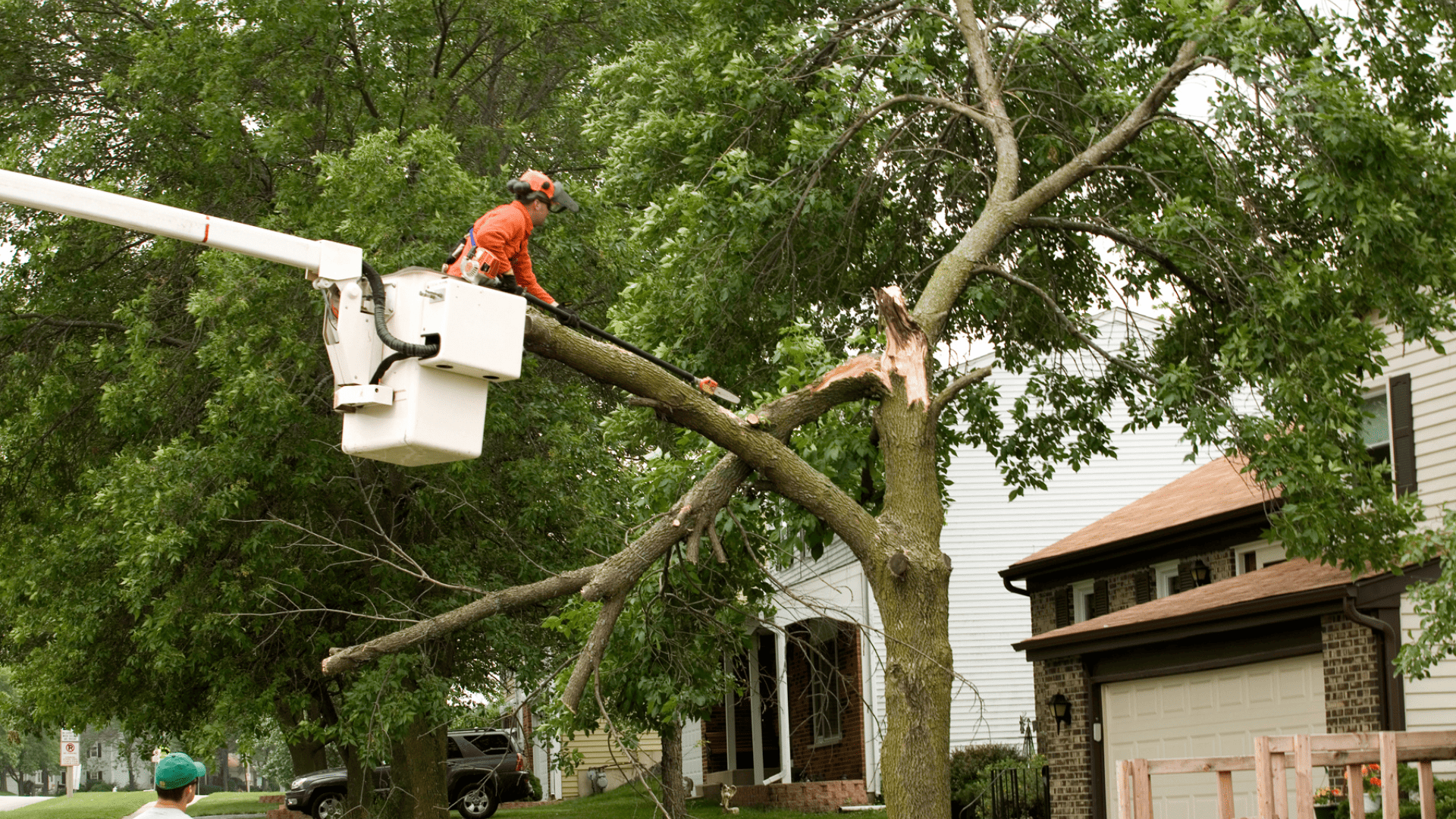 The Importance of Emergency Tree Services in South Florida