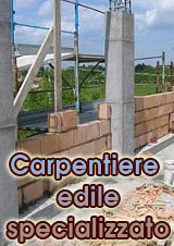 Corso Per Carpentiere Edile Specializzato - Professioni Future 226_x_160_jpg