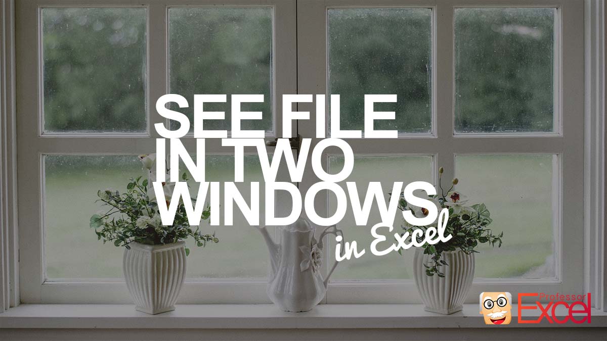 How to See an Excel File in Two Windows Side by Side