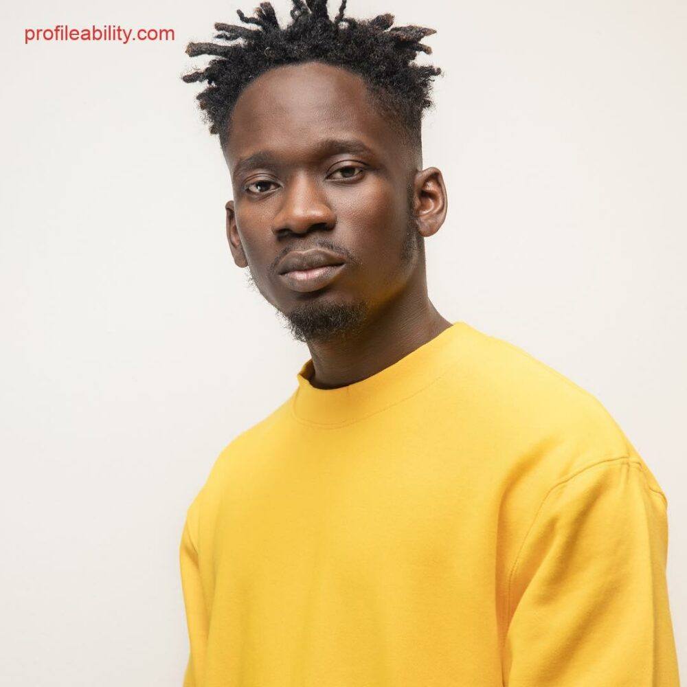 Mr Eazi Biography, Music, Videos, Booking ProfileAbility