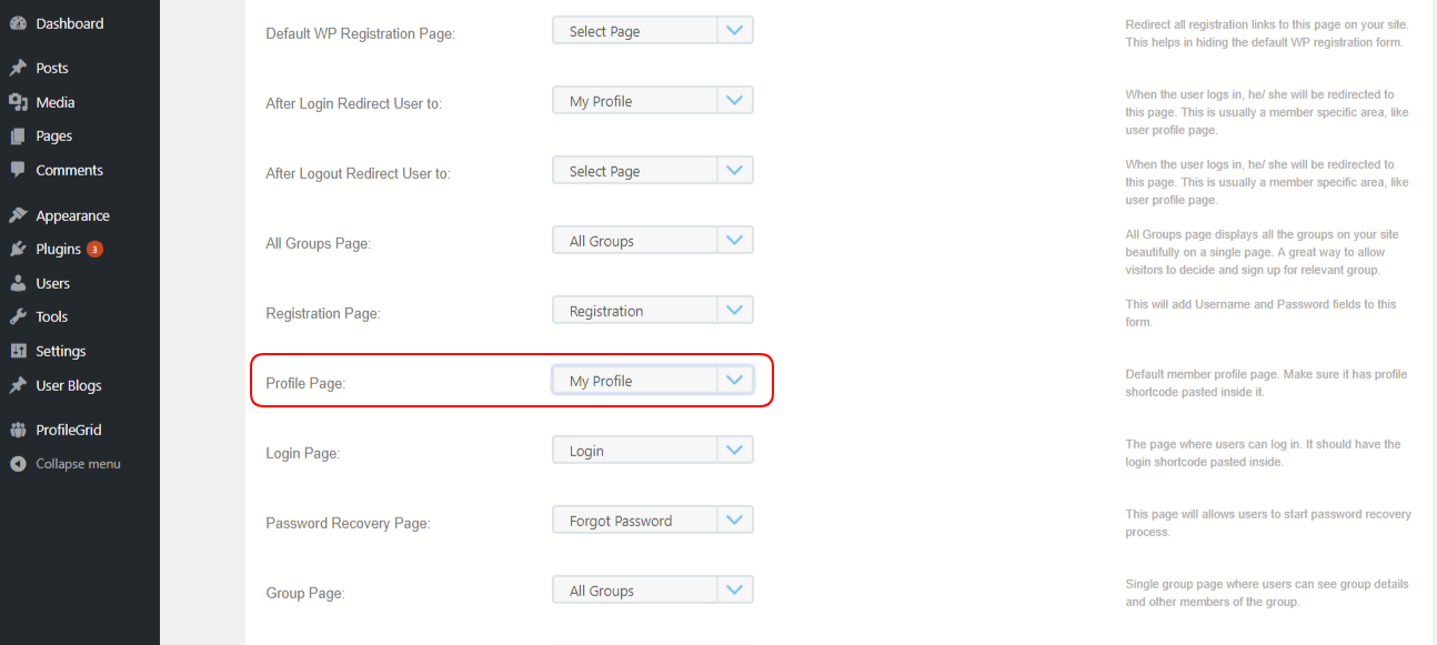 What is User Profile in WordPress ProfileGrid