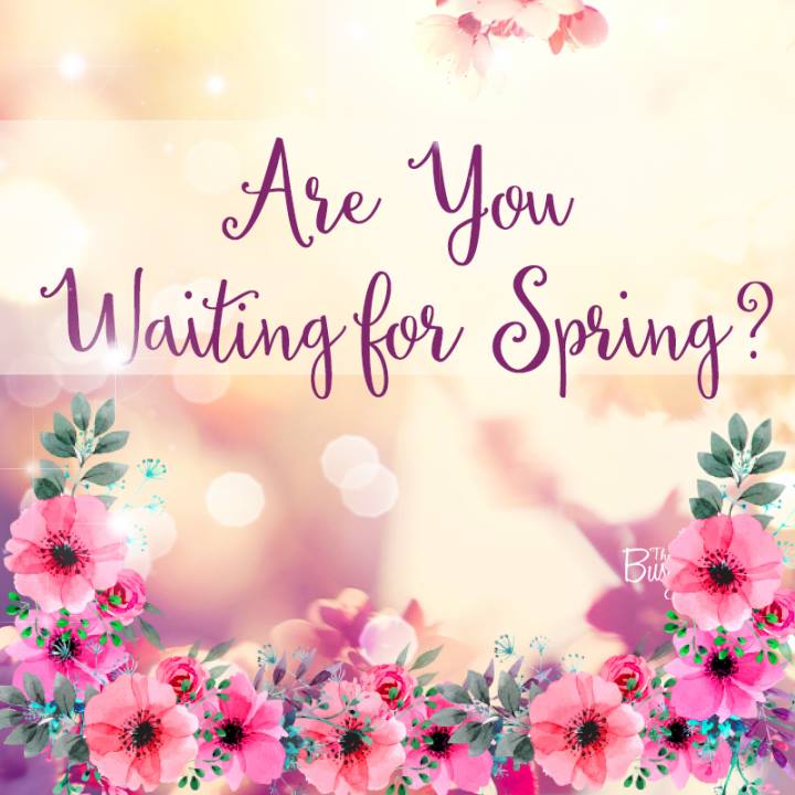 Spring Profile Picture Frame Profile Picture Frames for Facebook