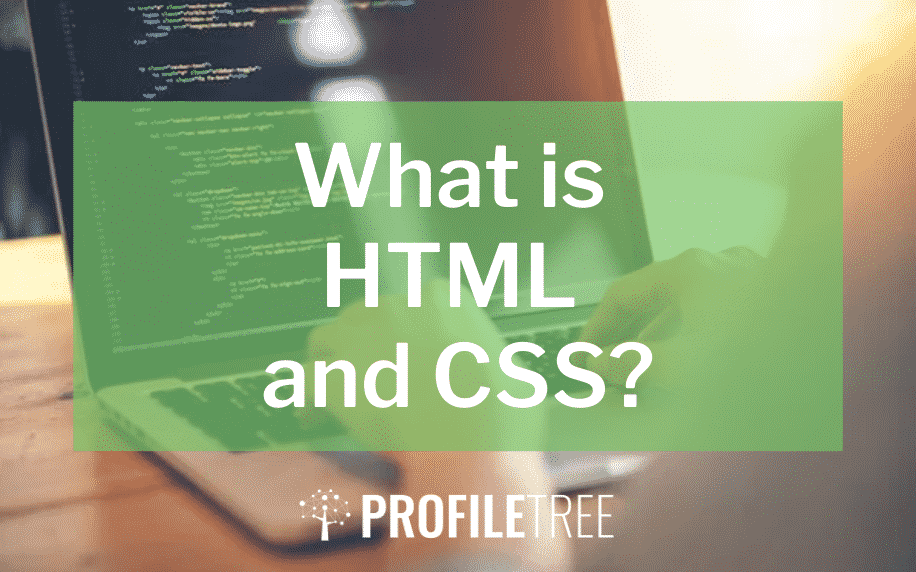 What is HTML and CSS?  Development Agency ProfileTree