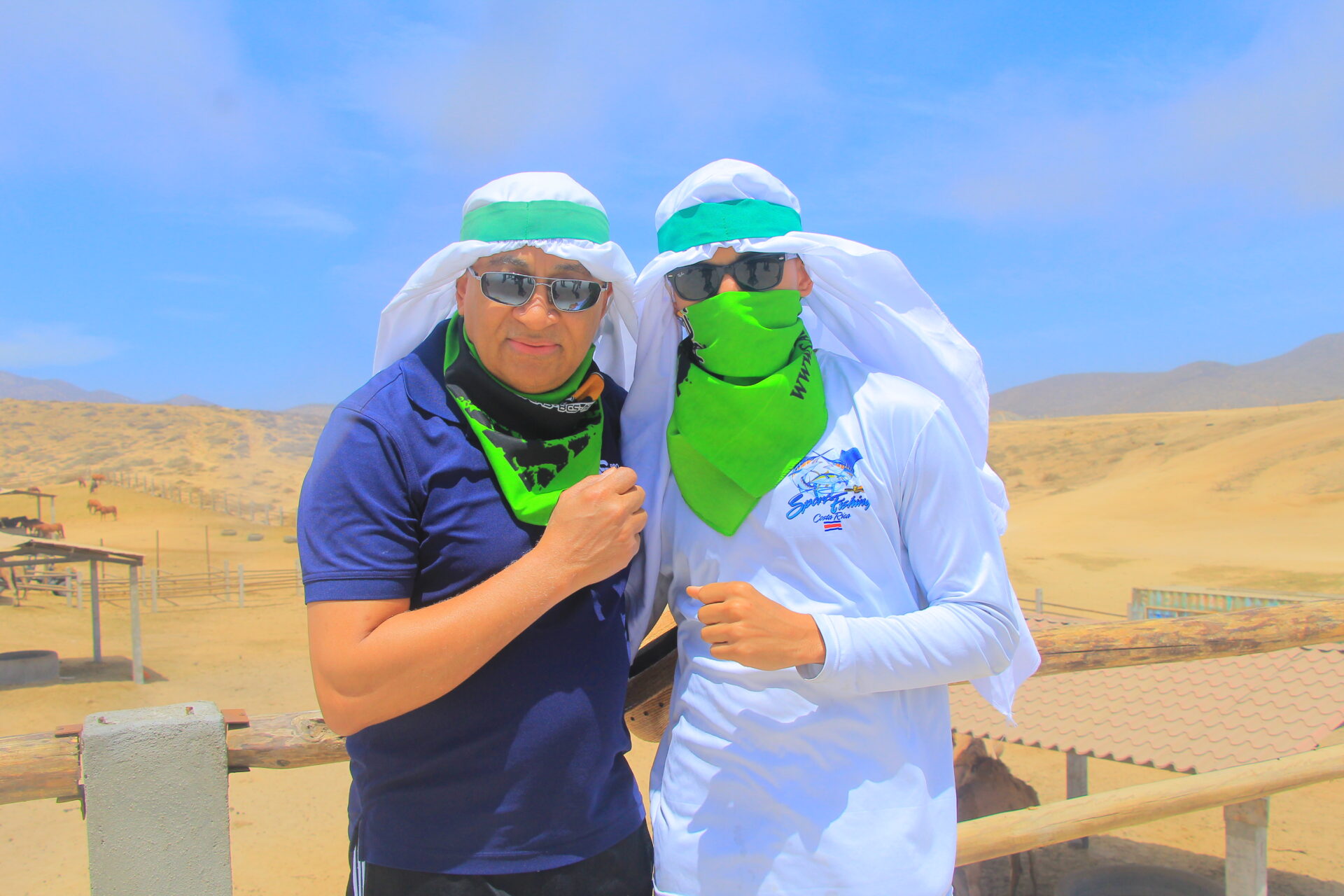 Domingo Herrera Pro Financial Group