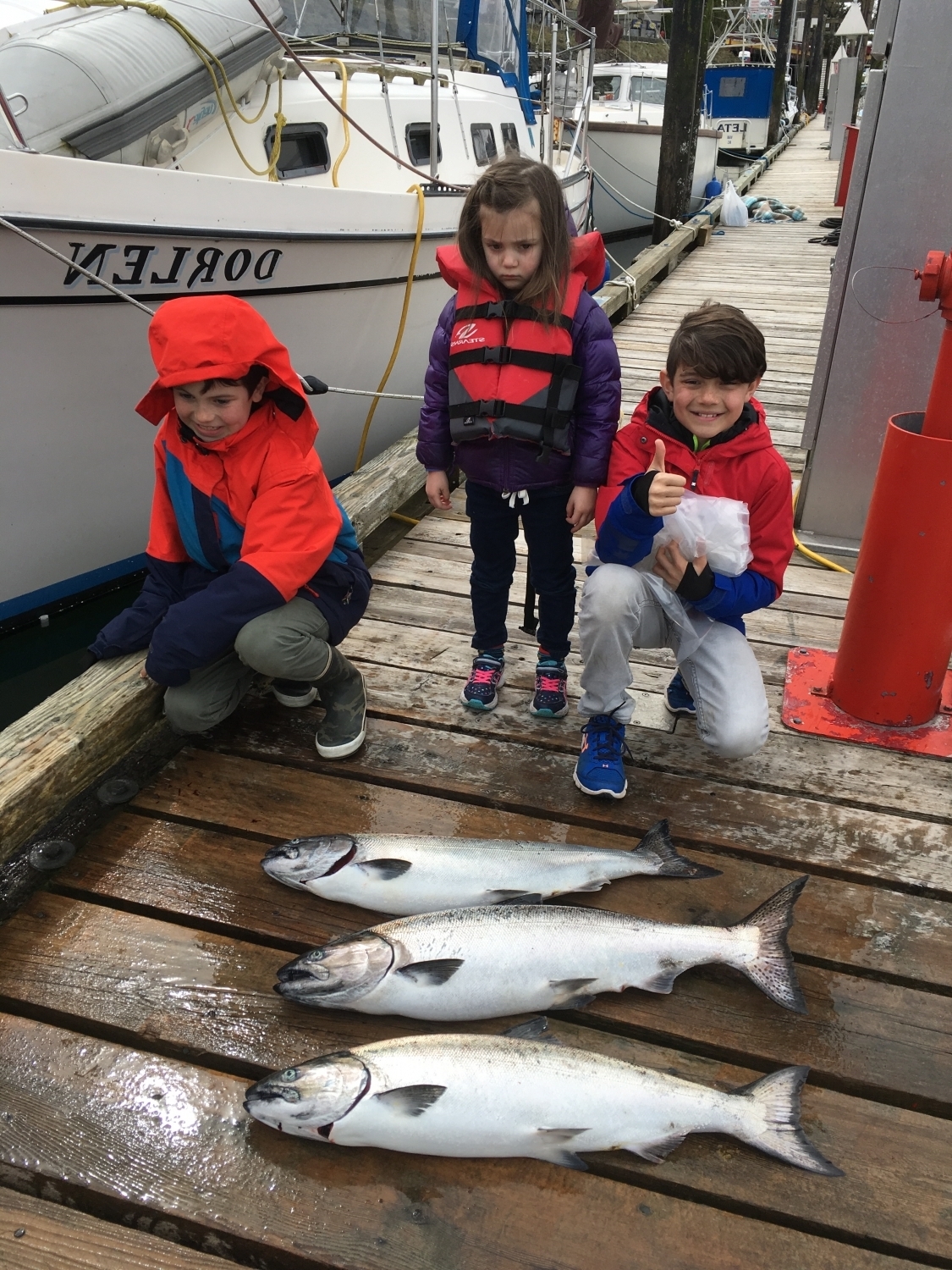 Campbell River Salmon Fishing Report Profish Adventures