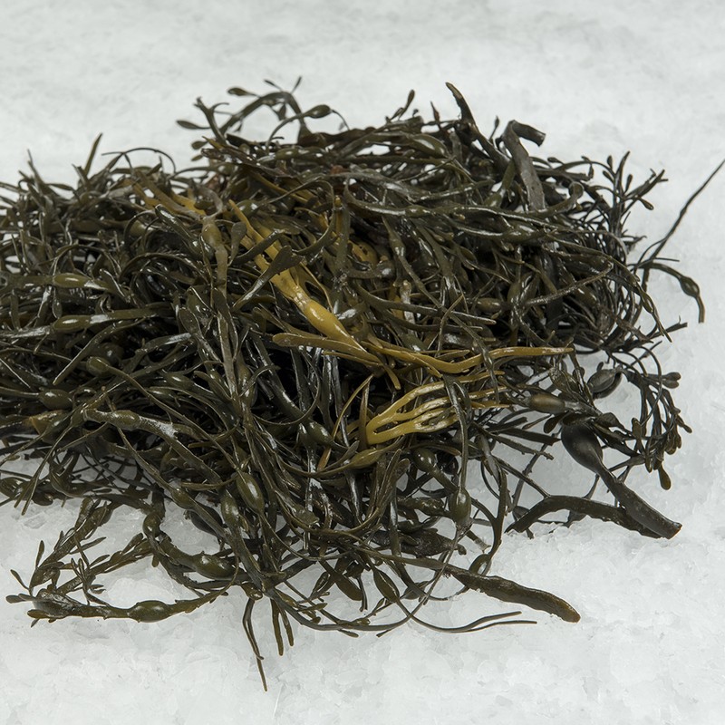 Seaweed Fresh Profish