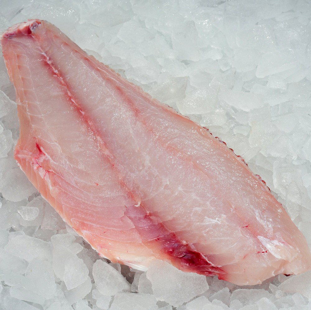 Lane Snapper Fillet Skin On Profish