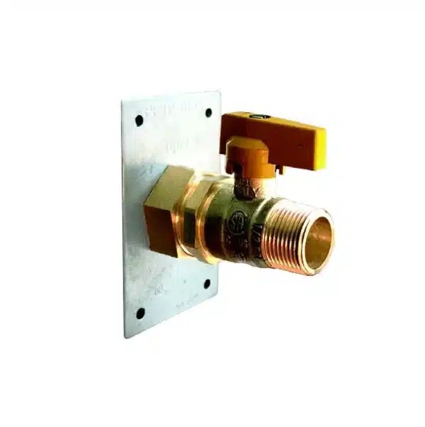 Special Term Plate with Direct Connect Valve ??? Pro Flex