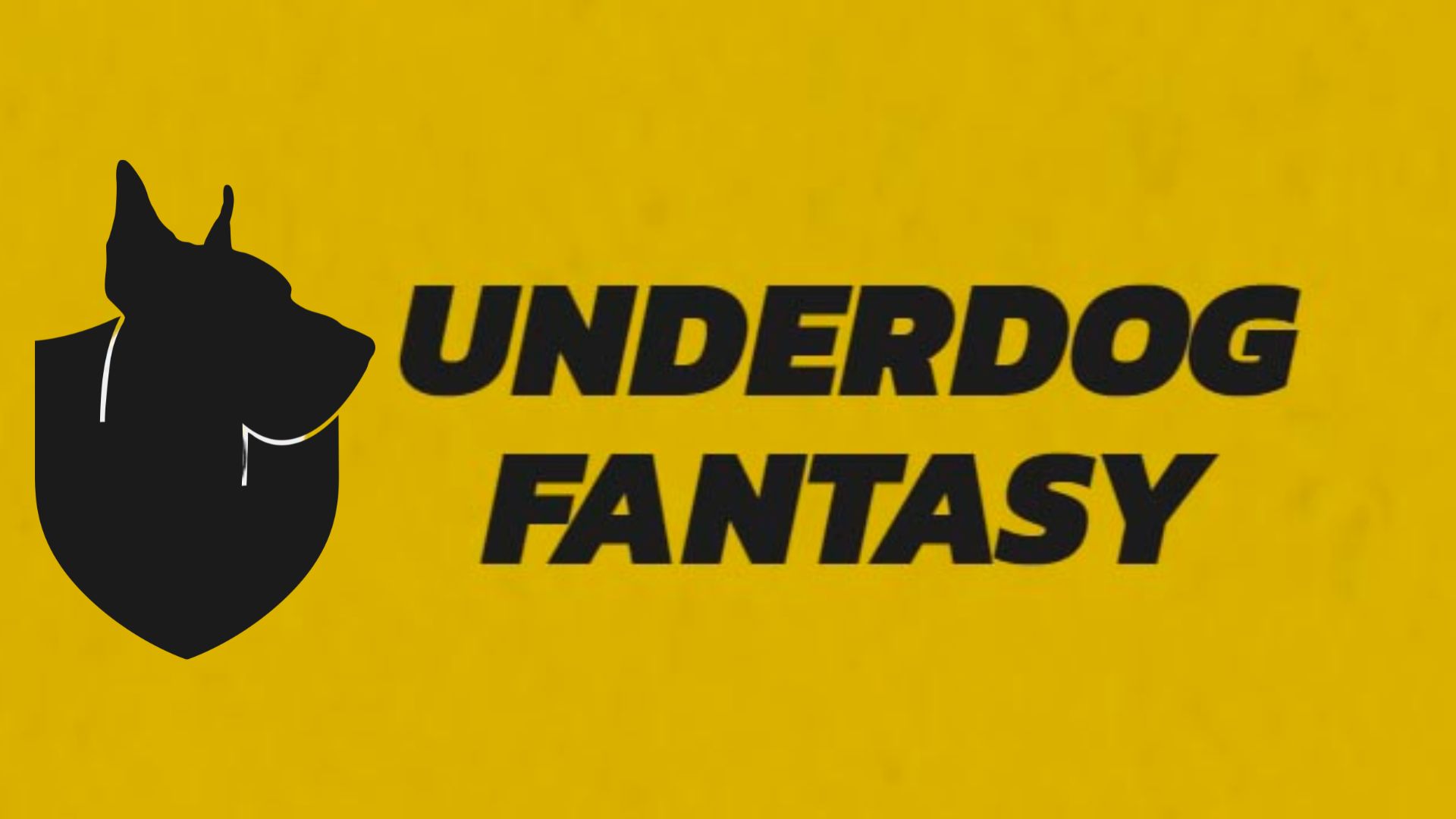 1M into Responsible Gaming Underdog Fantasy Launches GuardDog