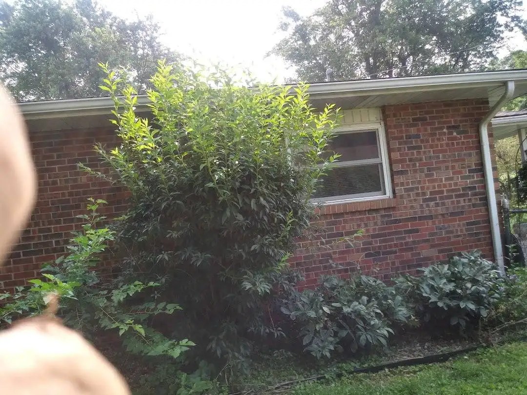 Home Springfield, MO Proformance Lawn Care, Landscaping