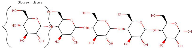 Does Flour Dissolve In Water (And Why)? The Science Explained