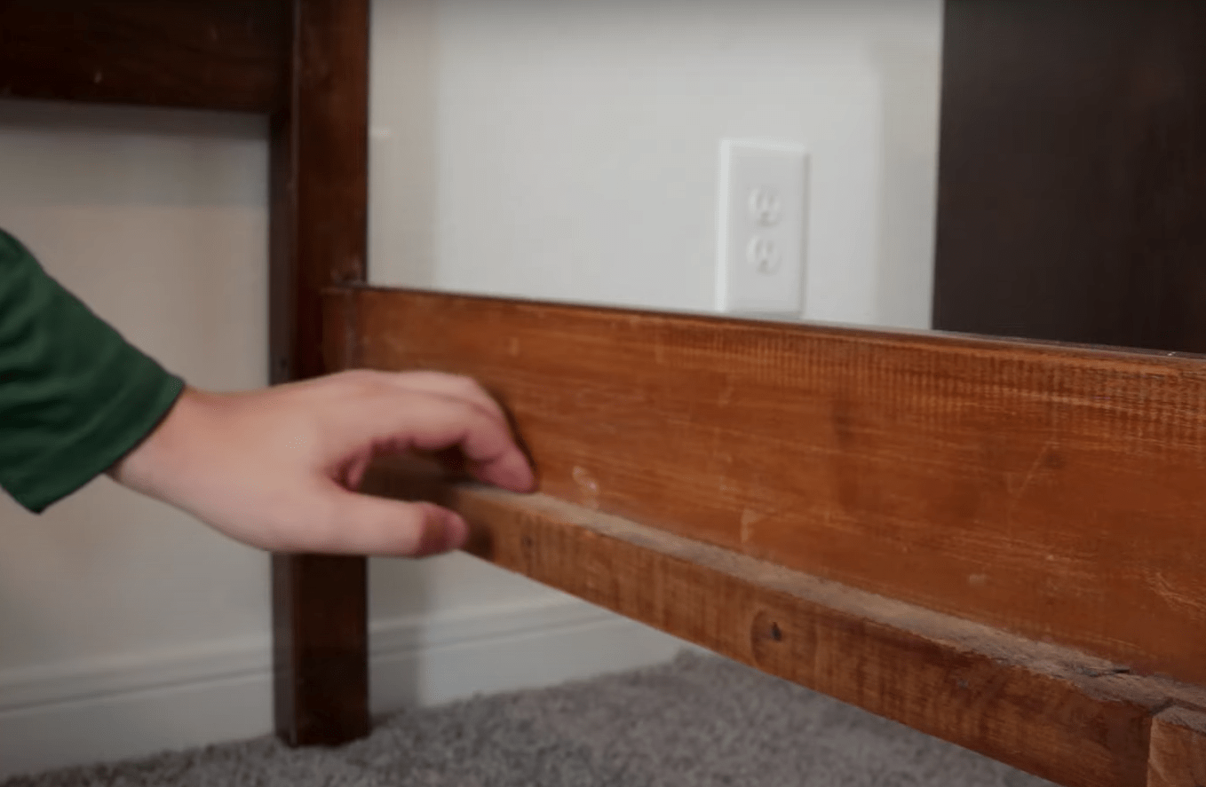 Does Paint Kill Bed Bugs? ProfyPainter