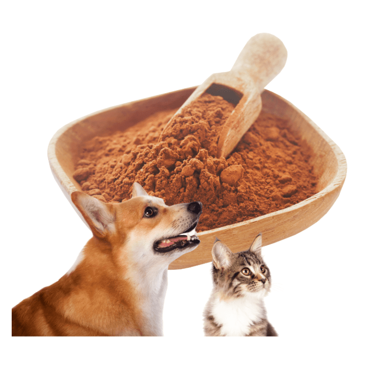 Crafting a Palatable Diet for Dogs Pet Food Palatant
